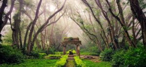 Top 5 Tourist Destinations near Bangalore